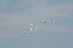 Dcim3877/DSC_2817