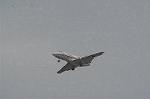 Dcim3879/DSC_7243