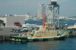 Dcim3881/DSC_3122