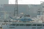 Dcim3883/DSC_3381