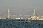 Dcim3884/DSC_3483