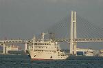 Dcim3884/DSC_3489