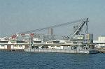 Dcim3885/DSC_7457