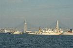 Dcim3885/DSC_7508