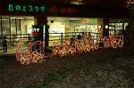 Dcim3897/DSC_4544