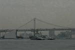 Dcim3907/DSC_7215