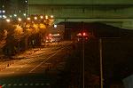 Dcim3911/DSC_7856