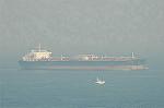 Dcim3952/DSC_8042