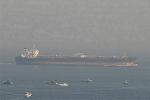 Dcim3955/DSC_7813