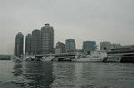 DSC_8526