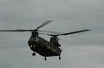 Dcim3974/DSC_9297
