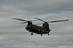 Dcim3974/DSC_9299
