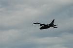 Dcim3976/DSC_9530
