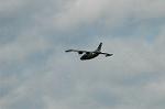 Dcim3976/DSC_9531