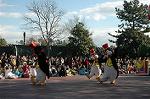 Dcim3984/DSC_0183