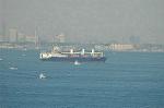 Dcim3989/DSC_0465