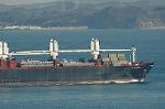 Dcim3990/DSC_0556