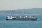 Dcim3990/DSC_0558