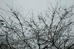 Dcim3993/DSC_0796