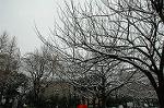 Dcim3993/DSC_0818
