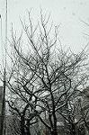 Dcim3993/DSC_0841