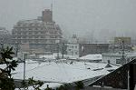 Dcim3993/DSC_0868