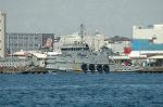 Dcim3996/DSC_1105
