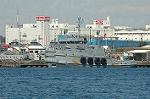 Dcim3996/DSC_1113