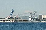 Dcim3996/DSC_1139