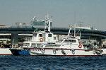 Dcim3997/DSC_1181