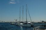 Dcim3997/DSC_1223