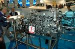 Dcim3998/DSC_1302