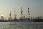 Dcim4008/DSC_8193