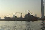 Dcim4008/DSC_8202