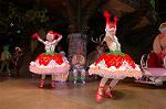 Dcim4013/DSC_2331