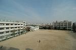 Dcim4031/DSC_3858