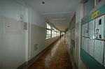 Dcim4031/DSC_3865