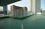 Dcim4031/DSC_3868