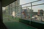 Dcim4031/DSC_3913