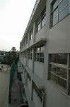 Dcim4031/DSC_3953