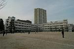 Dcim4032/DSC_4073