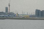 Dcim4033/DSC_4144