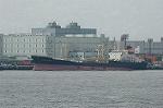 Dcim4033/DSC_4167
