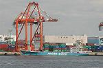 Dcim4033/DSC_4222