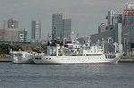 Dcim4033/DSC_4248