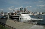 Dcim4033/DSC_4266