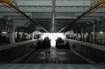 Dcim4041/DSC_5038