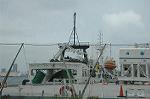 Dcim4077/DSC_7617