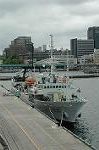 Dcim4077/DSC_7645