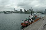 Dcim4078/DSC_7668